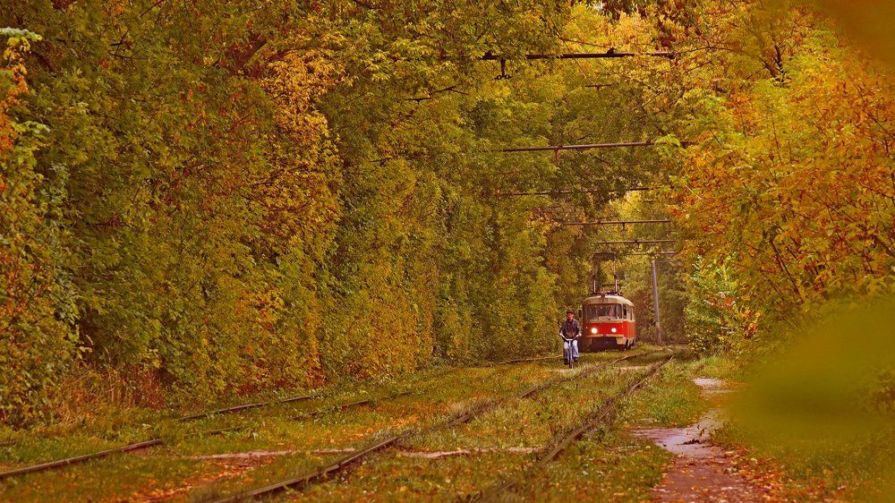 Фотография автора Александр Петаев