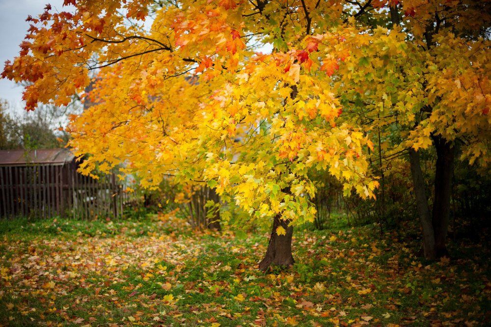 Photograph by Анастасия