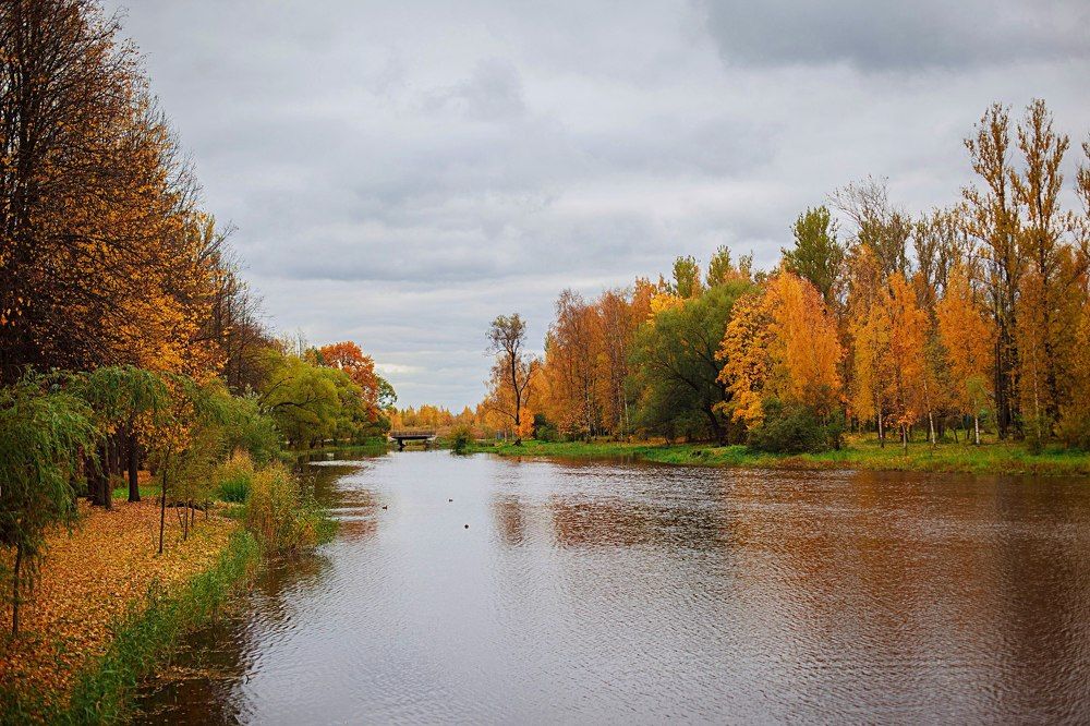 Photograph by Анастасия