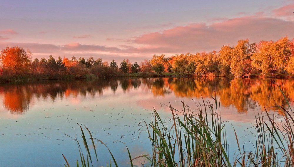 Краски осени на пруду