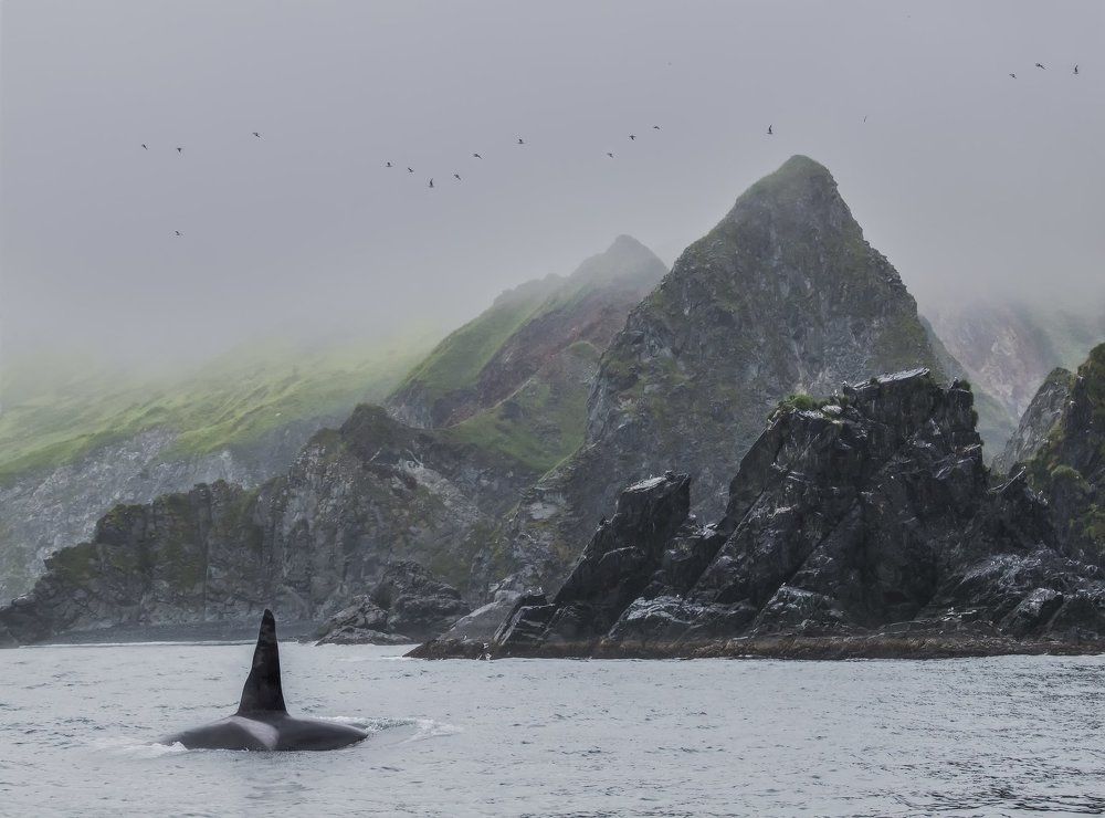 Осень туманного Альбиона