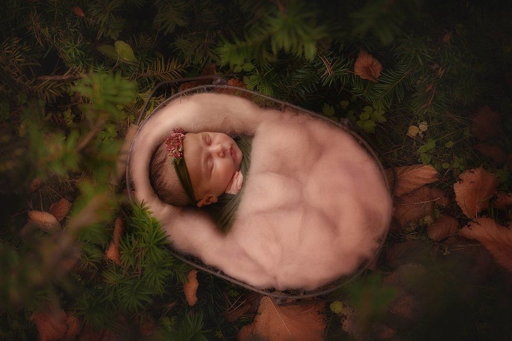 Фотография автора Яна Романова