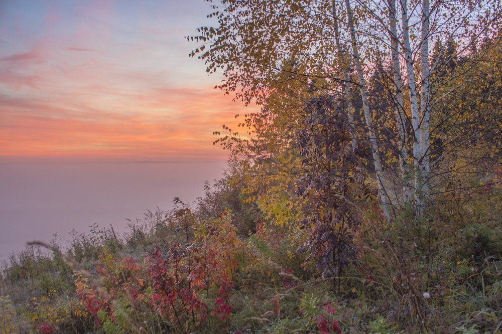 У молочной реки.