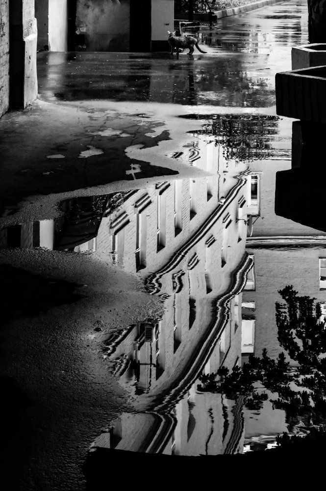 Московсие лужи.