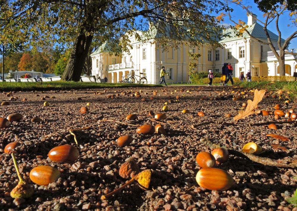 Photograph by Андрей Рогачев