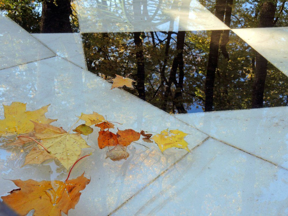 Осень в фонтане Летнего сада. Санкт Петербург.