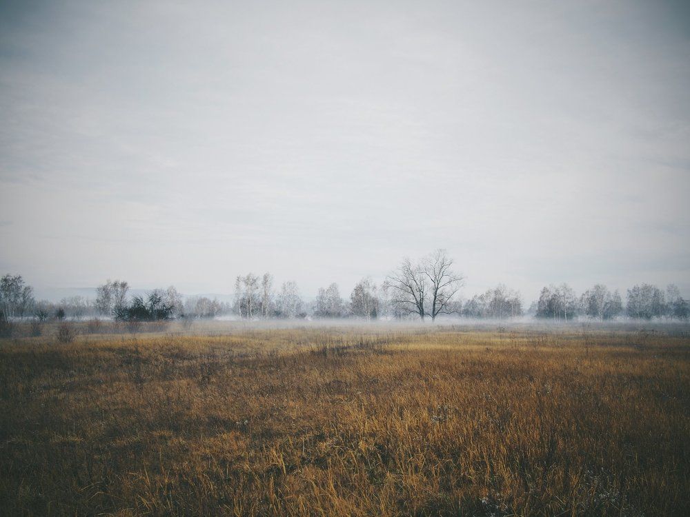 Осенний туман