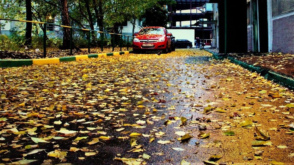 после дождя