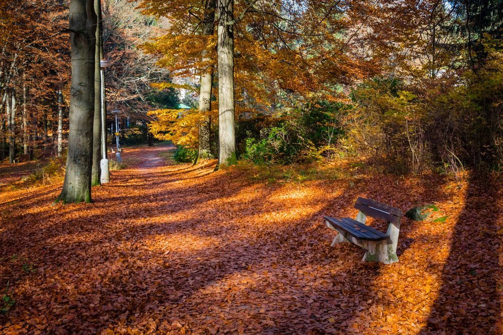 Photograph by Василий Речевский