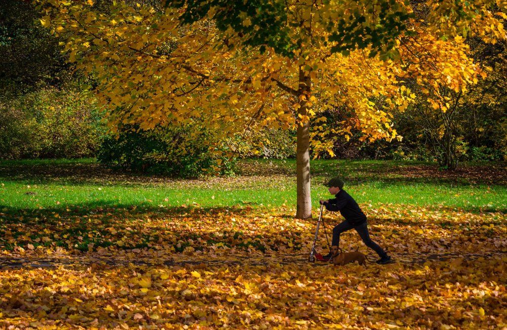 Photograph by Василий Речевский