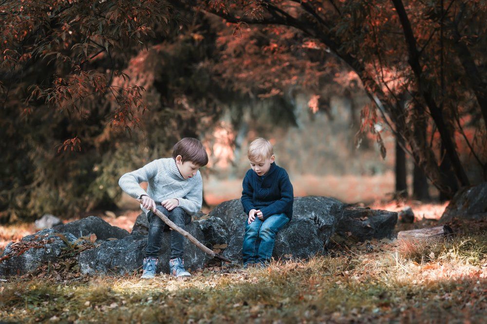 Лесные открытия