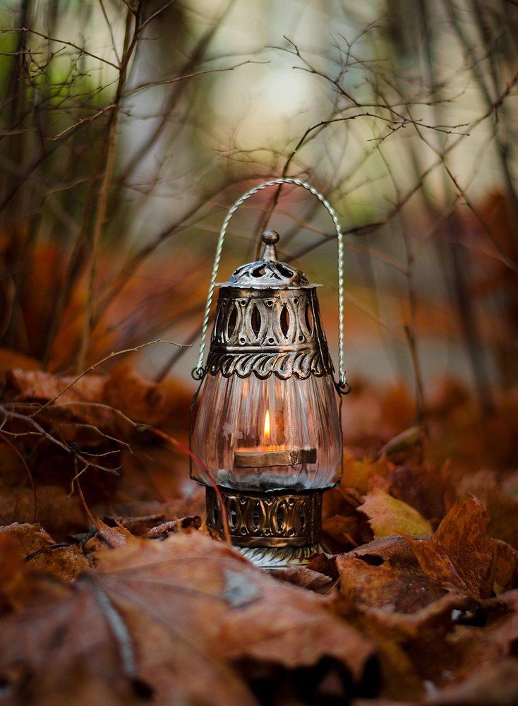 Photograph by Чернякова Анна