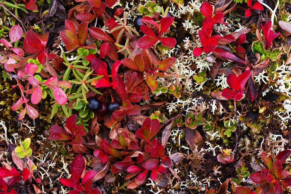 Photograph by Моисеева Надежда