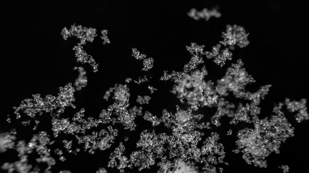Snowflakes