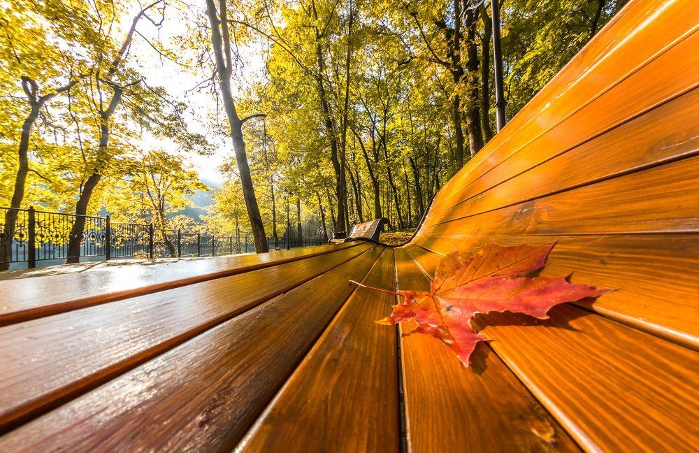 Фотография автора Гарбузов Илья