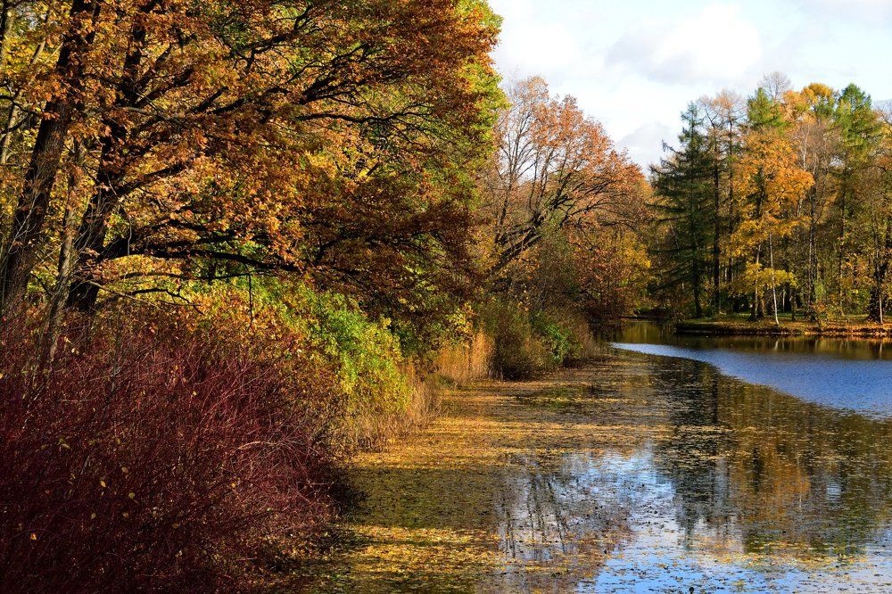 Фотография автора Андрей Симонов