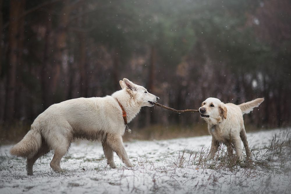 Photograph by Олеся Курсанова