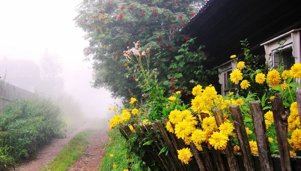 Осенним утром