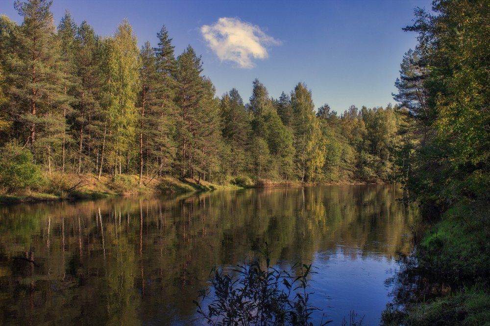 ...Всюду охрой и рубином засверкало...