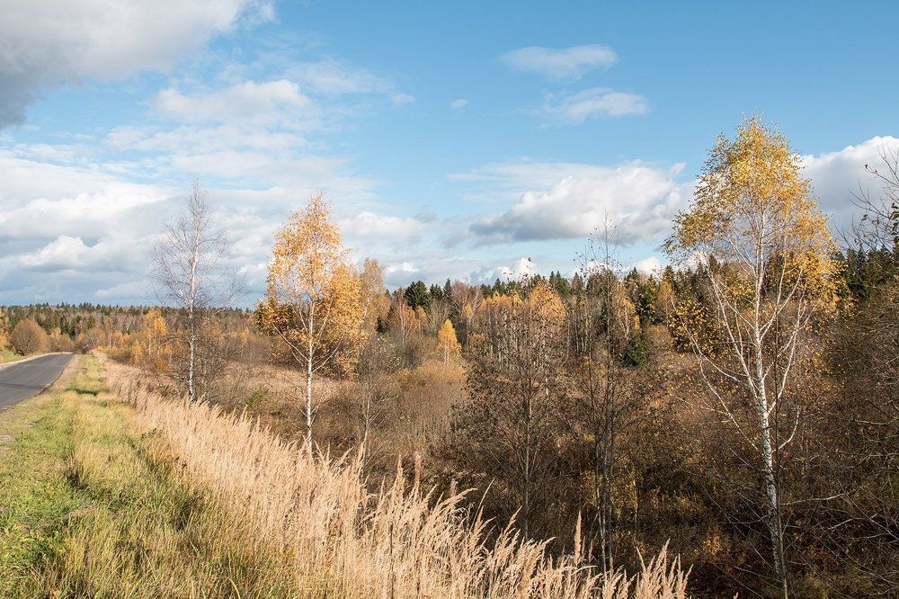 Осень в Подмосковье