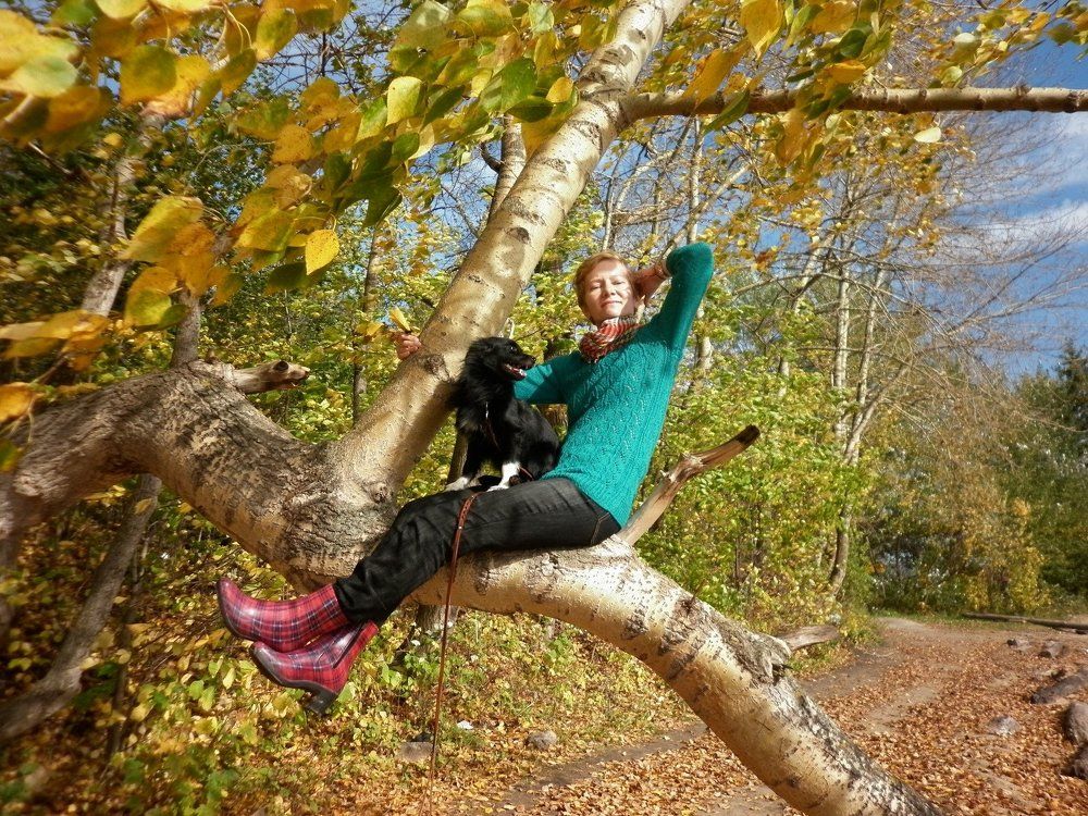 Осенний ветер