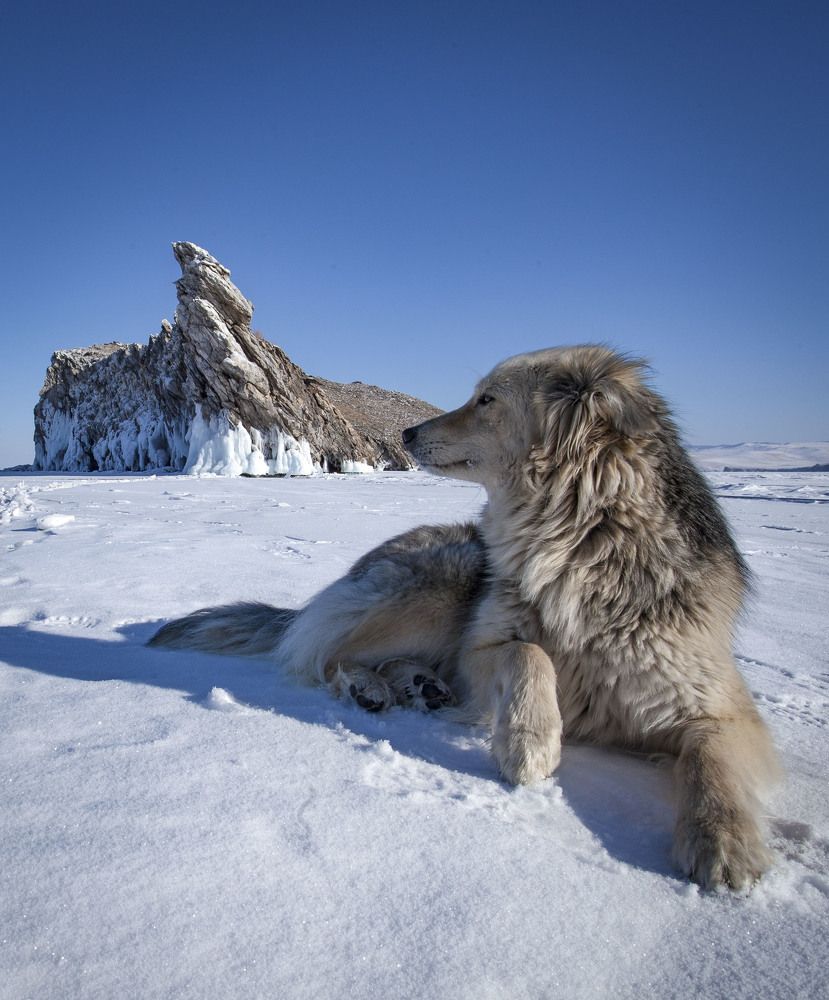 Правда,мы похожи?