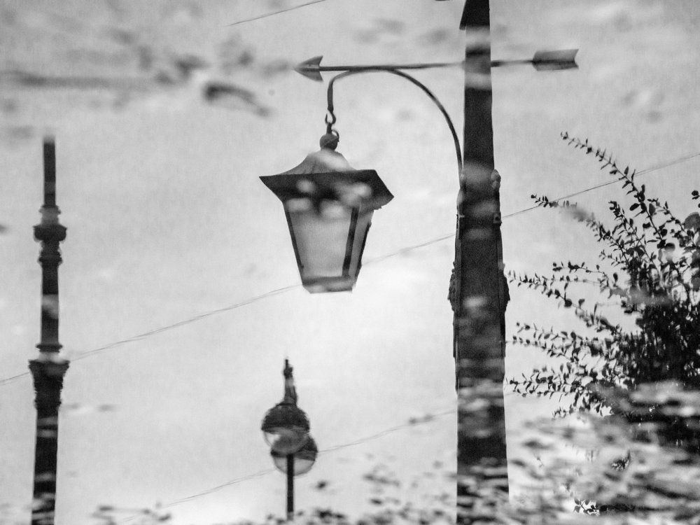 Photograph by Svetlana Retneva