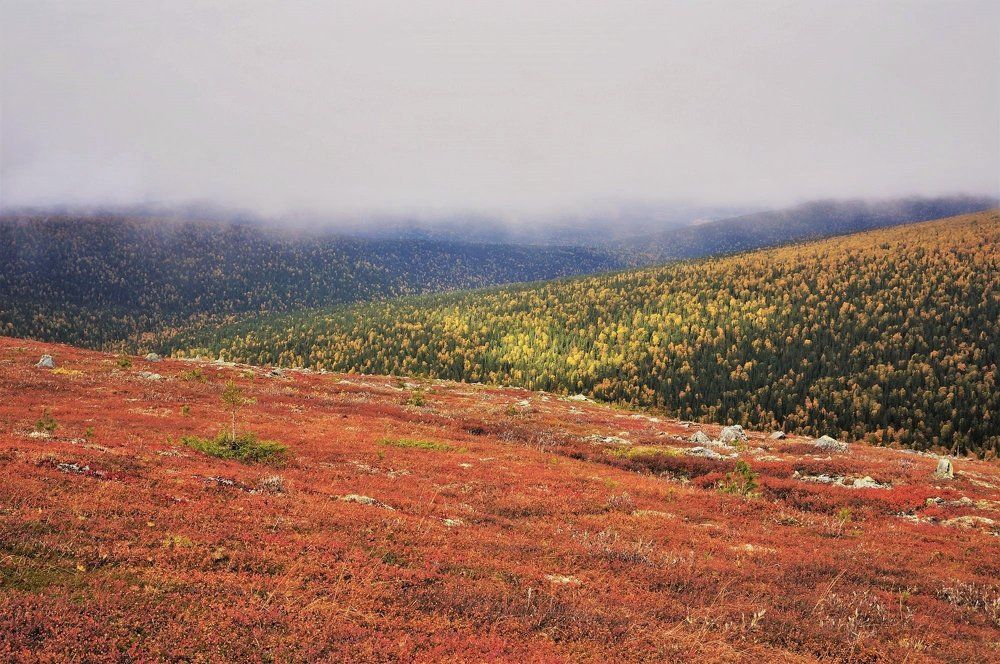 Сентябрь на Северном Урале