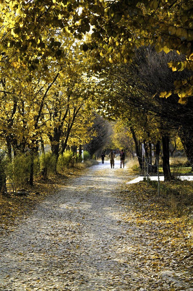 Kabul university in autumn
