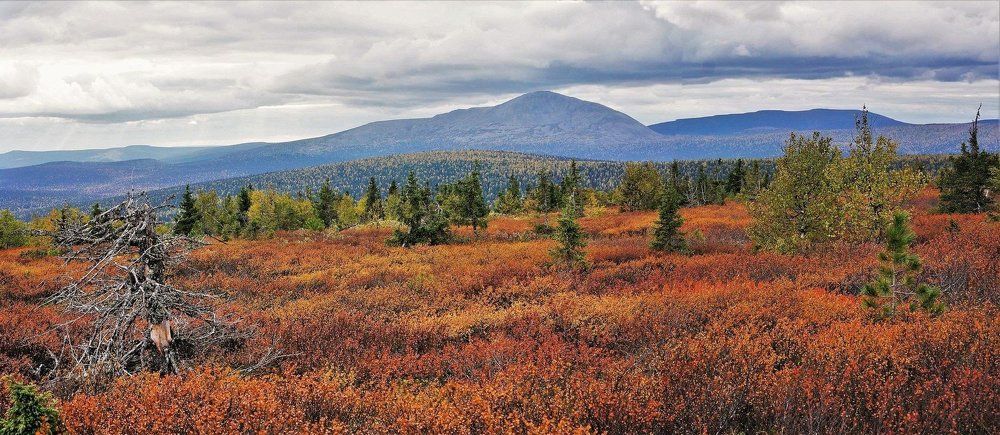 Осенний Койп