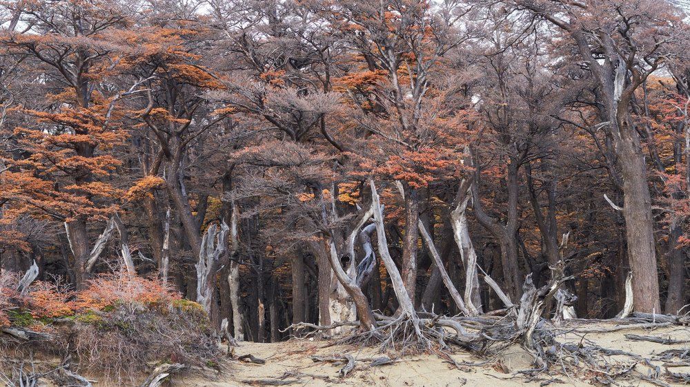 Увидимся весной.