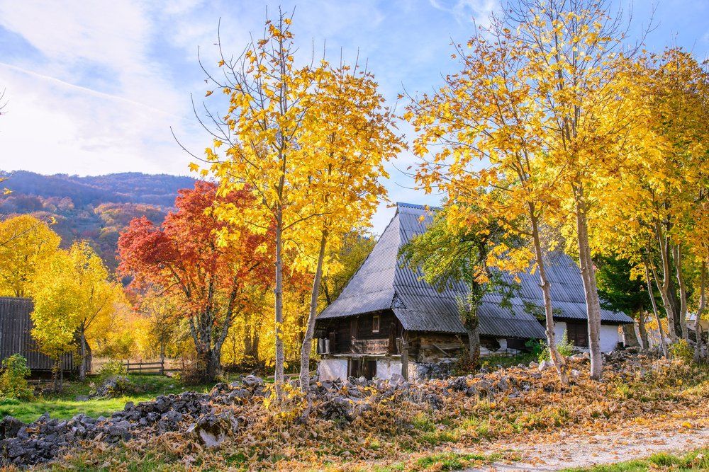 Autumn in front of the old house door
