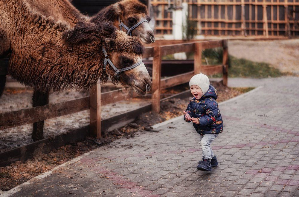 в Бахчисарае