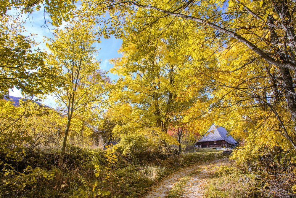 It will close your fantasy world and than disappear, your dreams will come to pieces and scatter like a giant tree-leaf