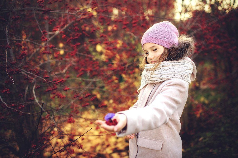 Ягодная осень :)