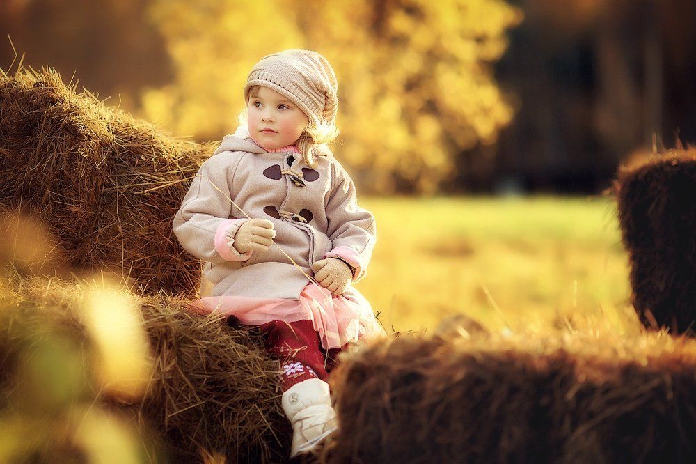 Солнечная осень