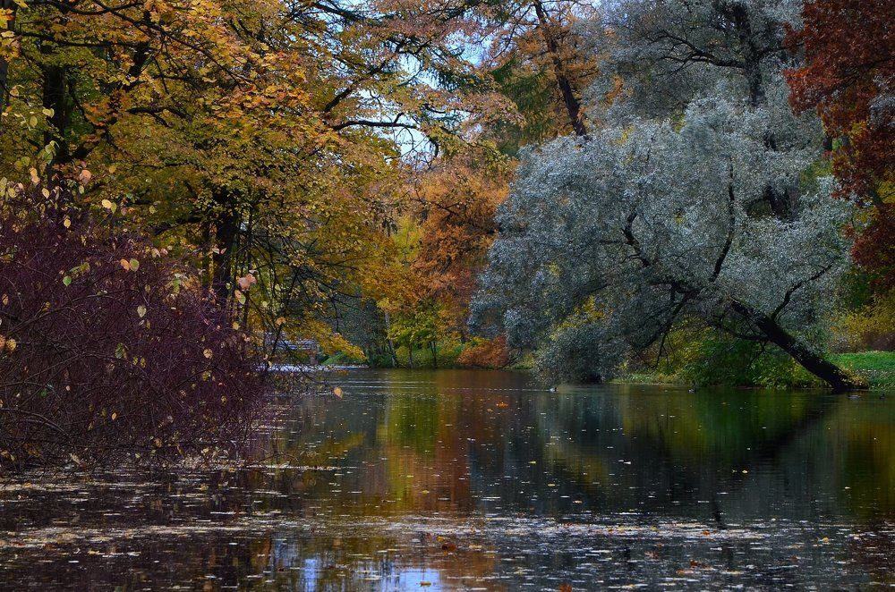 Елагин остров