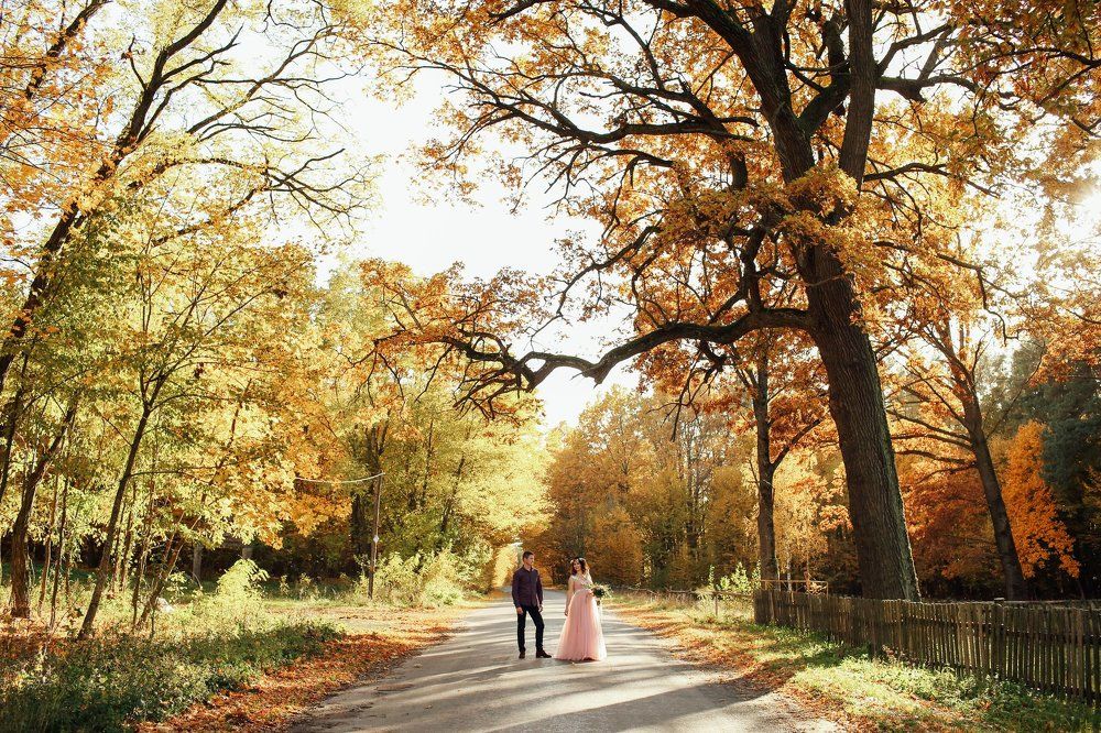 Золотая осень