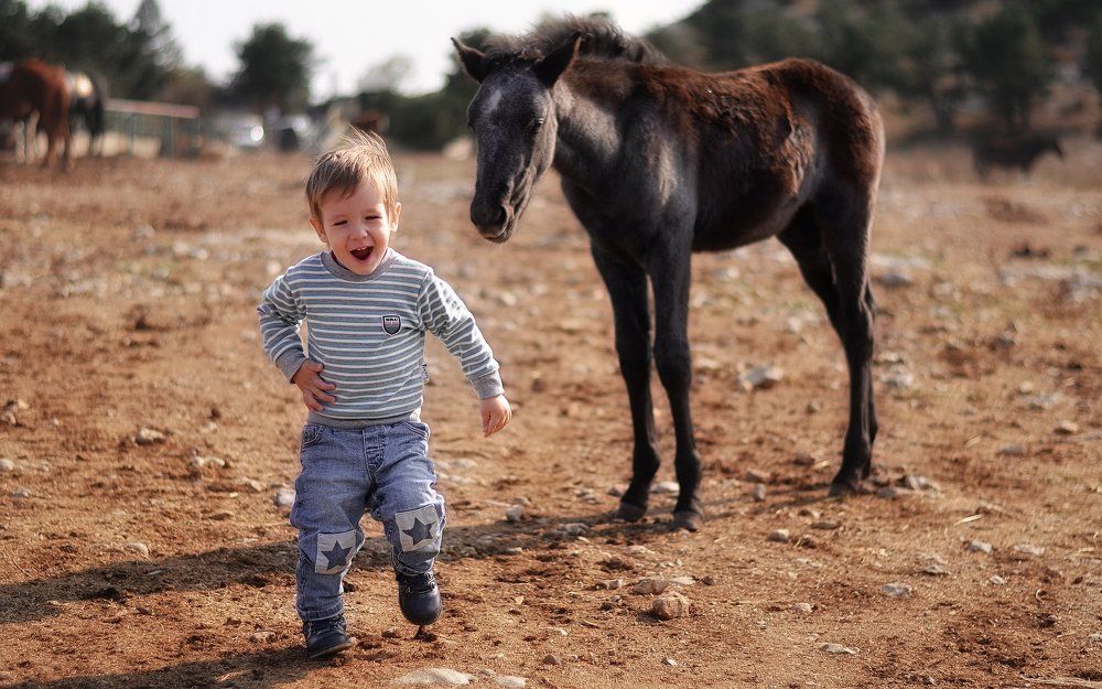 Жеребёнок и Сеня