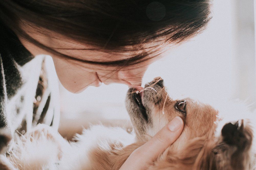 Без названия