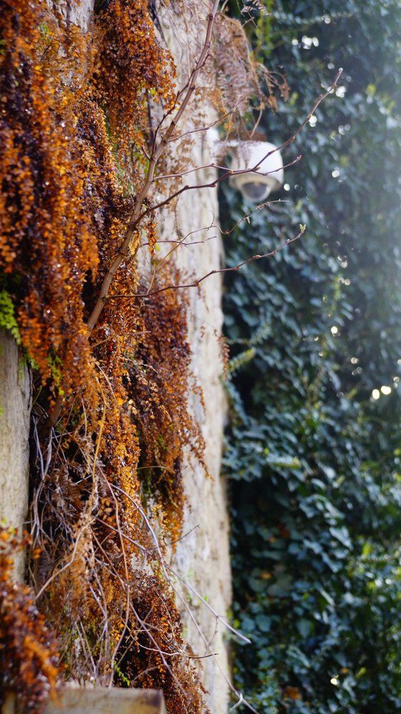 Photograph by Tamara Margvelashvili