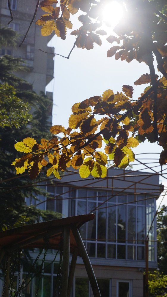 Photograph by Tamara Margvelashvili