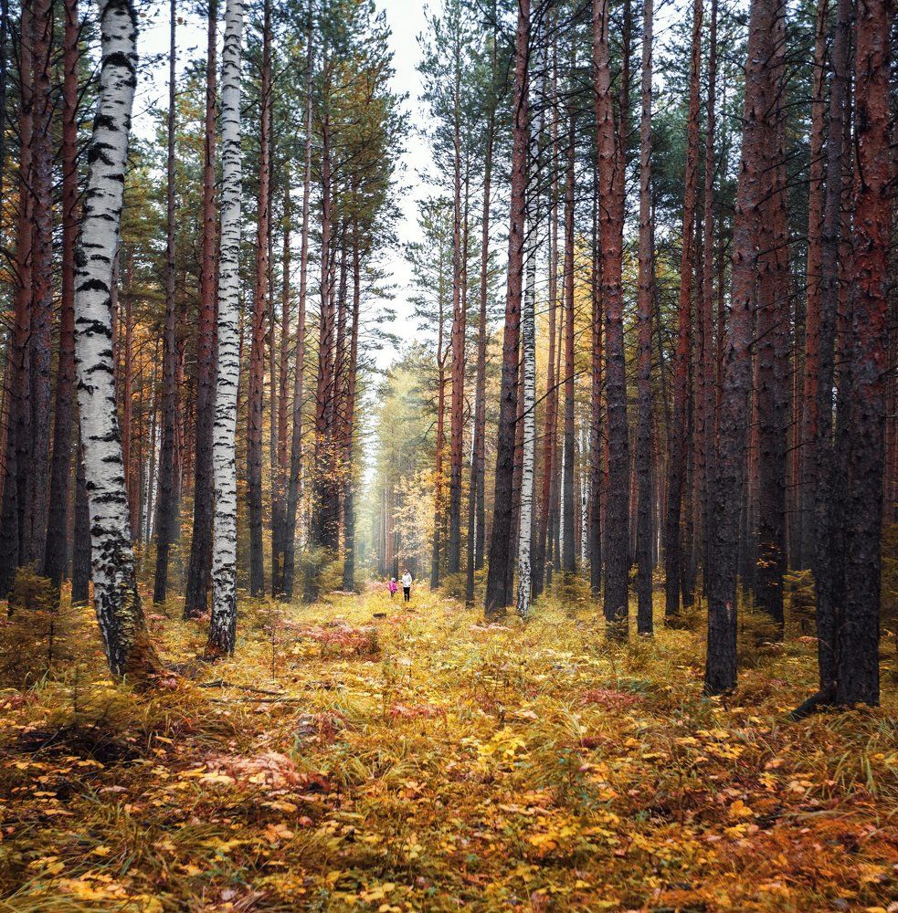 "Уральская осень в селе Петрокаменском"