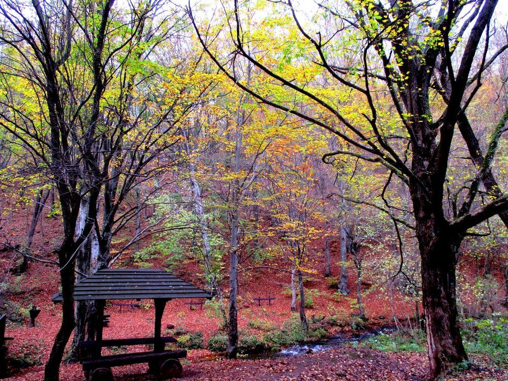 На берегу озера