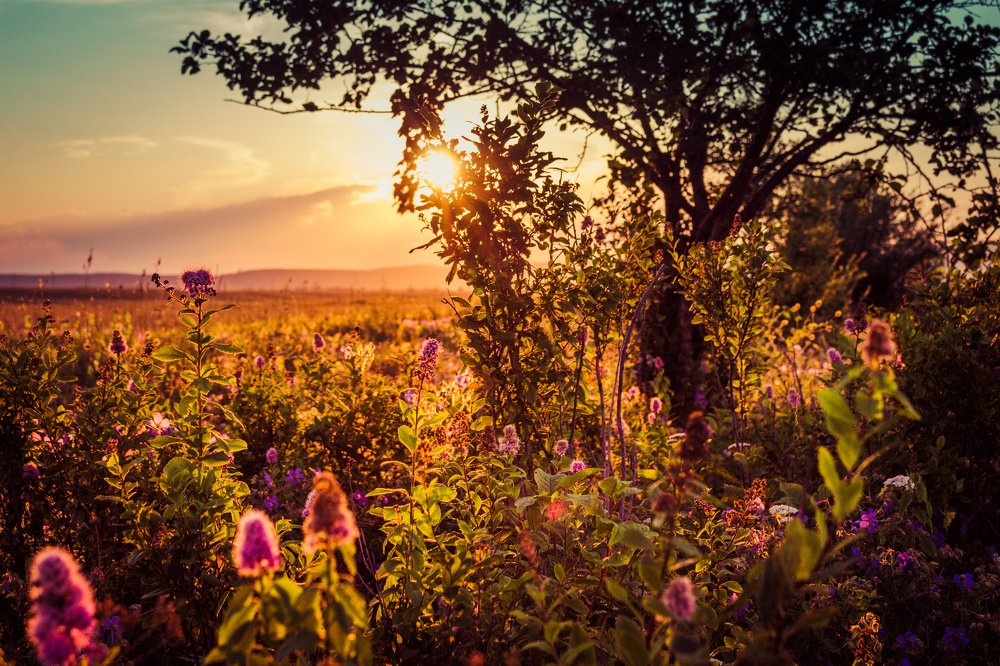 Прекрасный закат
