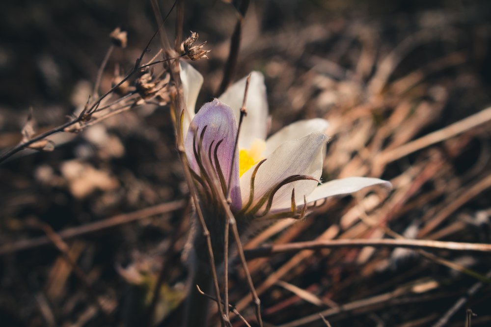 ISO 100, f/7,1, 1/500 сек