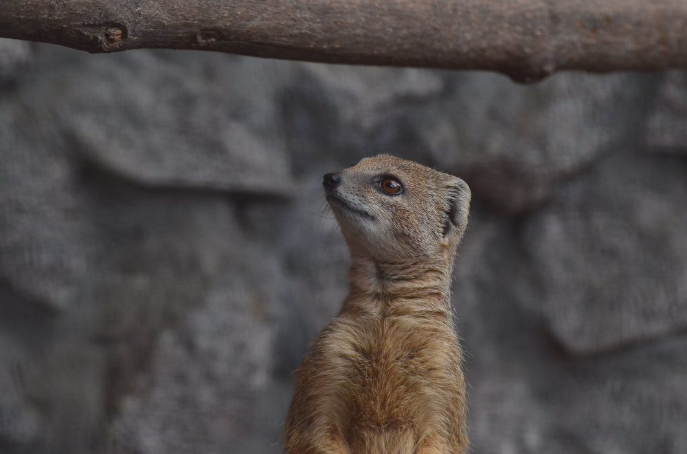 Photograph by Алексей Фомичев