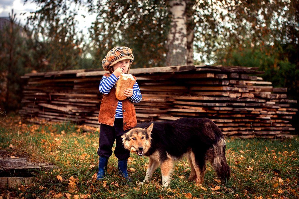 Война, войной, а обед по расписанию ))