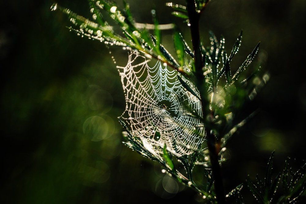 На рассвете