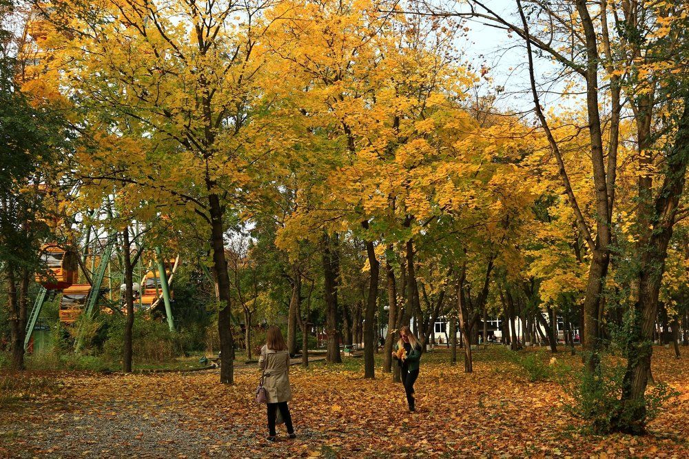 Photograph by Игорь Куленко